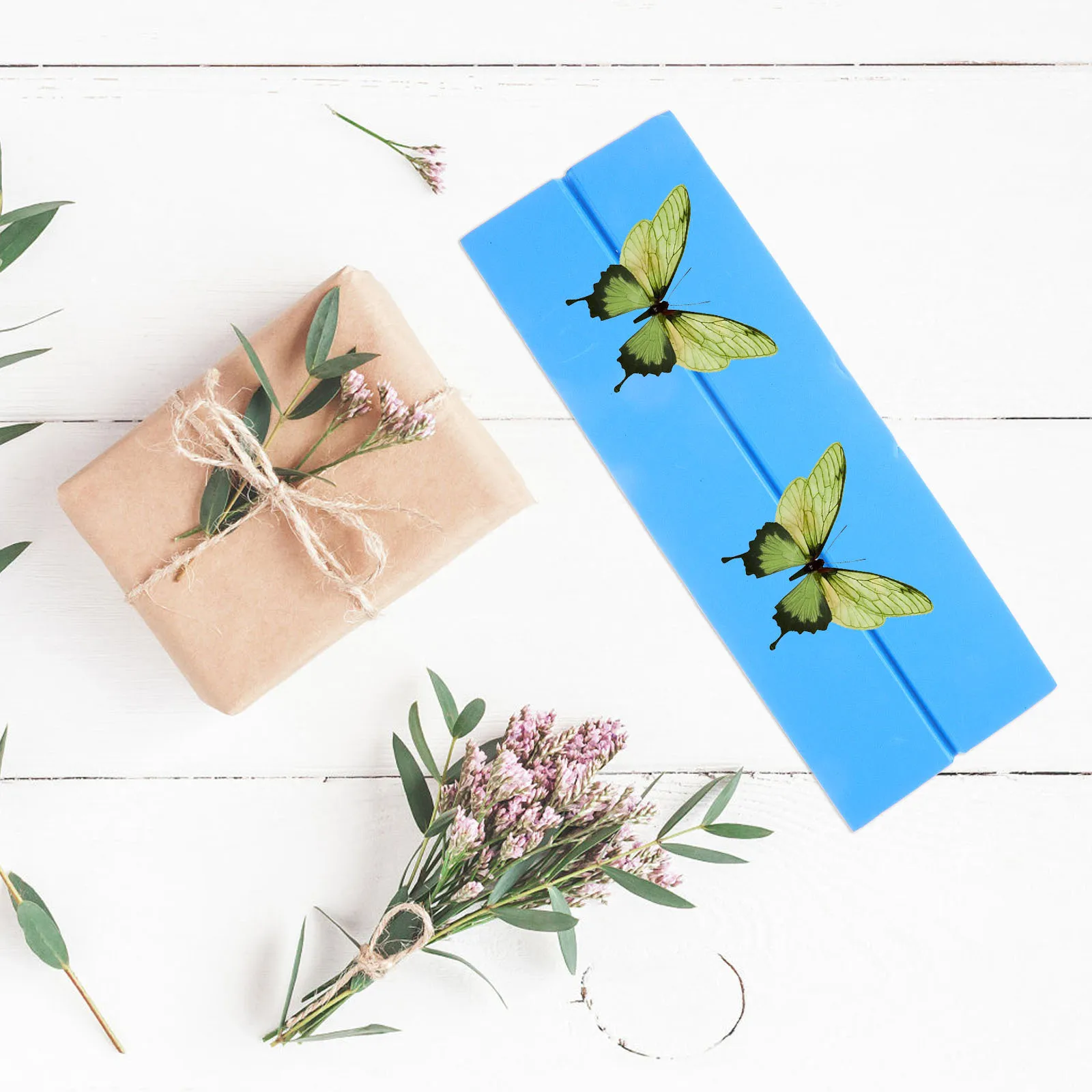 Planche de présentation pour spécimens, planche de montage et d'étalement pour papillons, base en mousse stable, maintient les spécimens en place, idéal pour les papillons