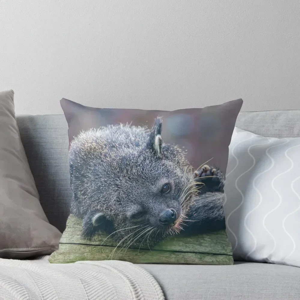 Binturong Throw Pillow pillow pillowcase christmas pillow case pillowcases for sofa cushions