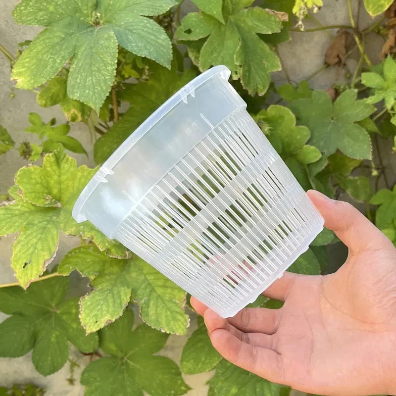 Potenciômetro plástico transparente da orquídea, potenciômetro do controle da raiz, recipiente respirável do crescimento, potenciômetro do jardim, 11 cm, 14cm