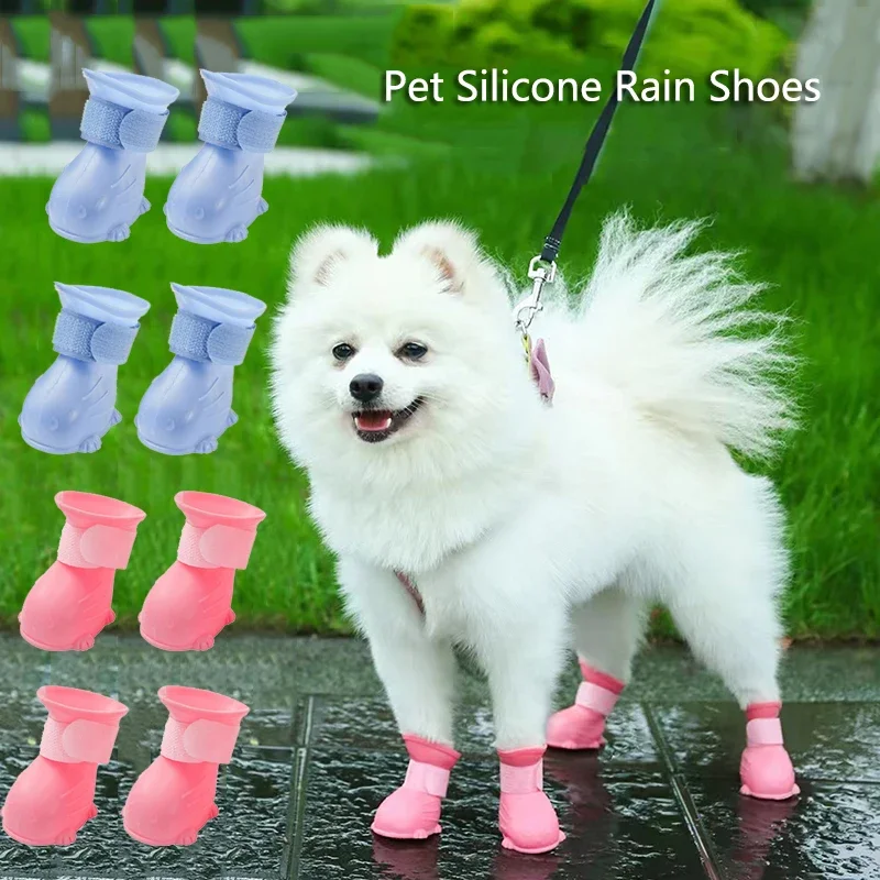 #44 Latest Puppy Boots Updates