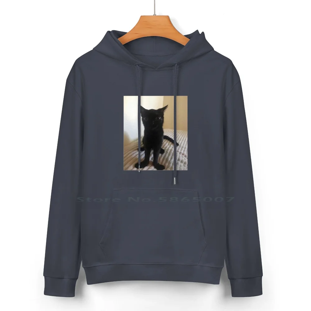 Big Foot Jinx Pure Cotton Hoodie Sweater 24 Colors Big Feet Big Foot Jinx Funny Cat Cat Meme 100% Cotton Hooded Sweatshirt For