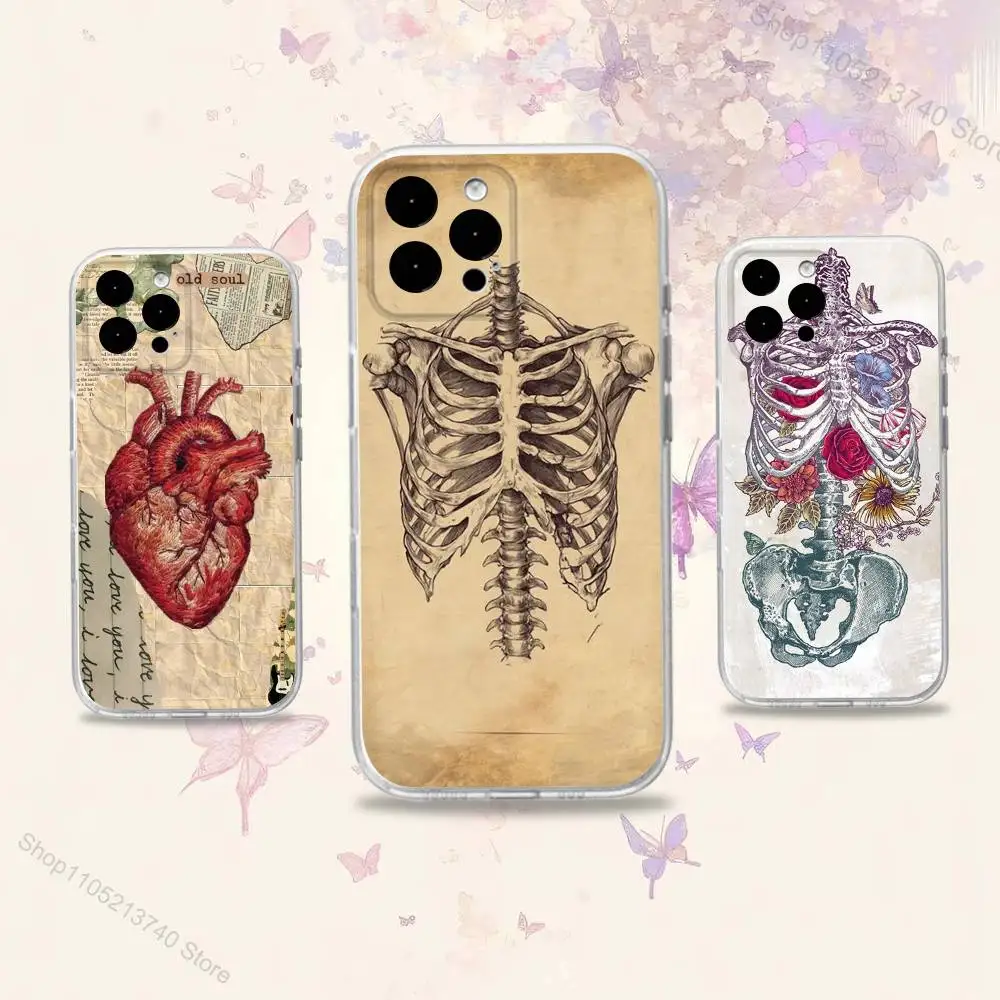 

MedicalS Art Anatomy HumanS Phone Case For iPhone 11,12,15,16,17,13,14,Pro,Max,Plus,E,Mini,Air,SE4 Soft TPU Clear Back Cover