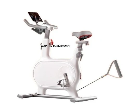 

Bicycle Indoor Training Equipment Self-electric Spinning Exercise Bike