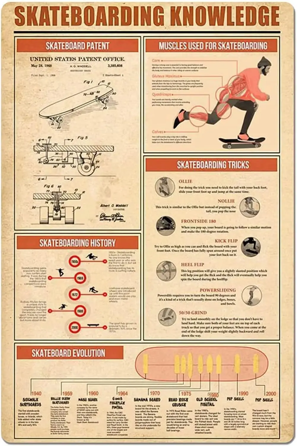 ESETASOT Panneaux en métal éducatifs sur le skateboard, infographies vintage sur le skateboard, affiches de guide rapide, pour la décoration de la cave des hommes