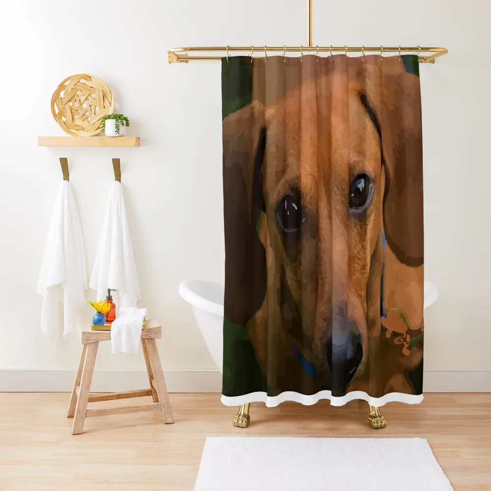 

english cream dackel Shower Curtain Bathroom Showers Bathroom Shower Curtain