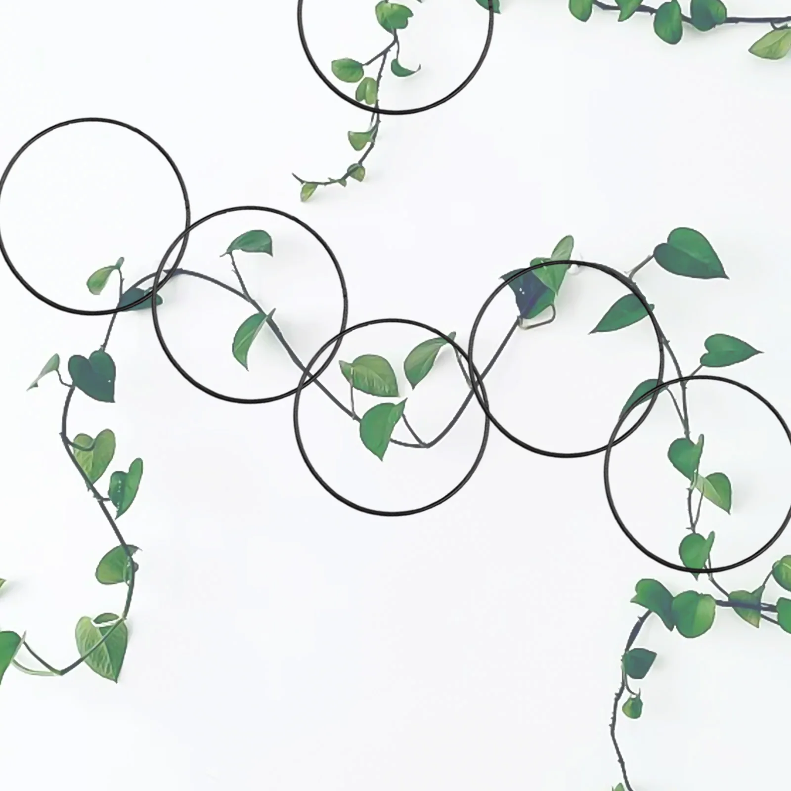 Contemporary Round Chain Trellis Strong and Stylish Solution for Climbing Plants in Any Garden or Home Setting