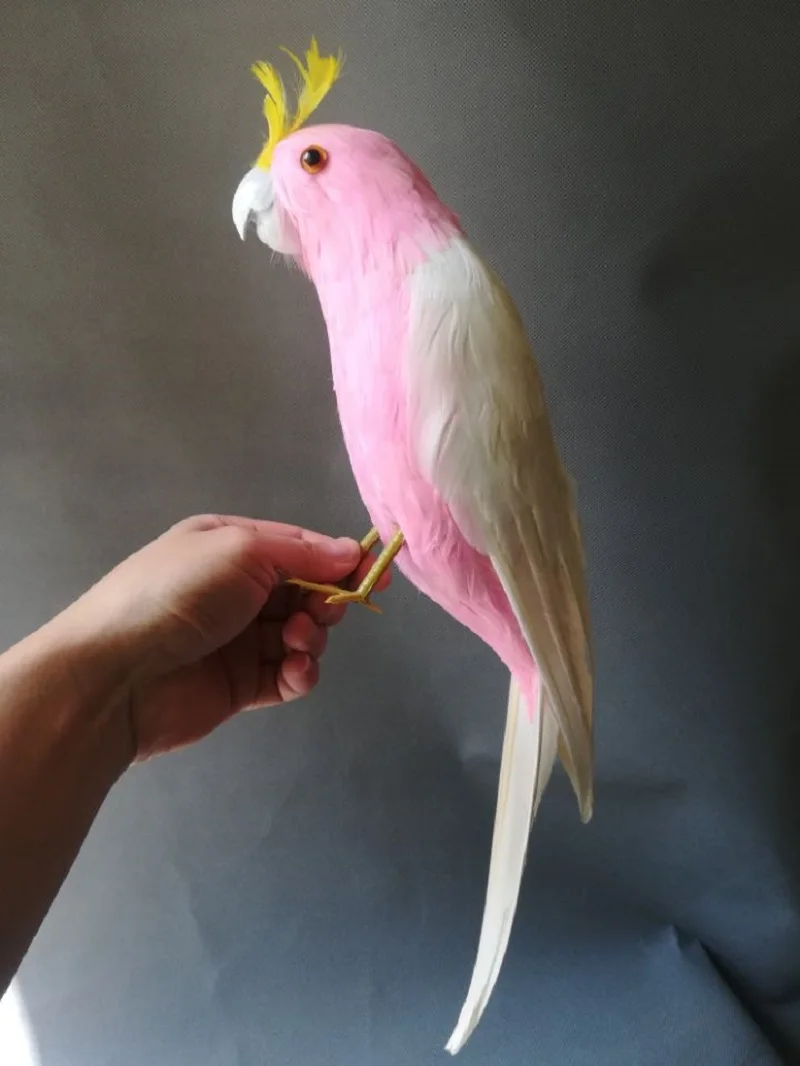 New Simulation Parrot Model foam&feather Real Feathers Cockatoo Bird Gareden Decoration cosplay performances Scene Props d0241