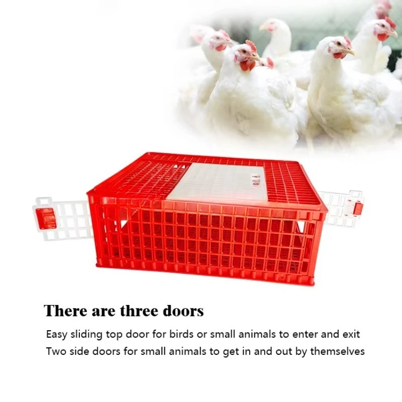 Yyc Plastic Three-D… - image