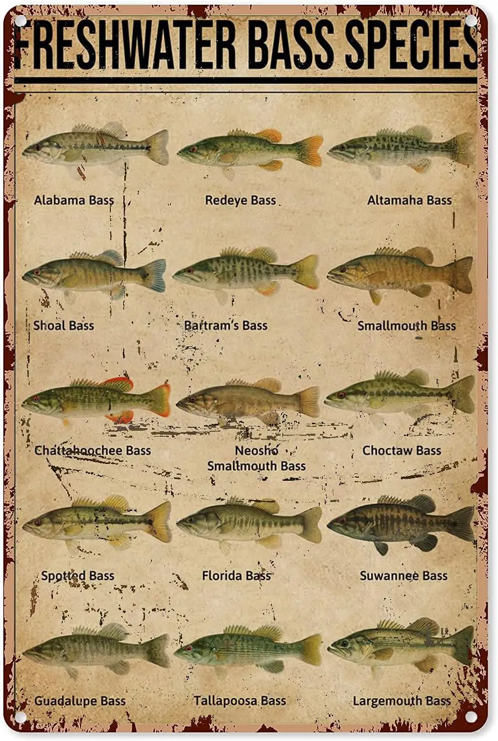 Freshwater Bass Species Type Of Fish Knowledge Vintage Metal tin Sign Art Plaque Wall Decor Look Funny Gifts for Home Kitchen Ga