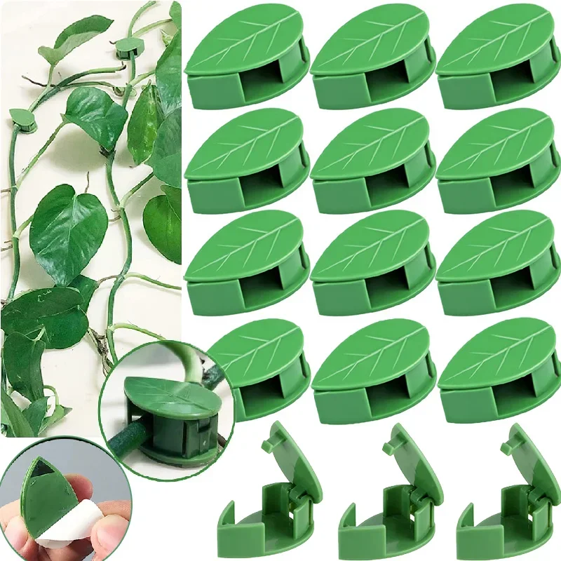 

10-40PCS Plant Climbing Wall Fixture Clips Leaf Shaped Clips Invisible Vines Fixing Clip Plant Support Garden Self-Adhesive Hook