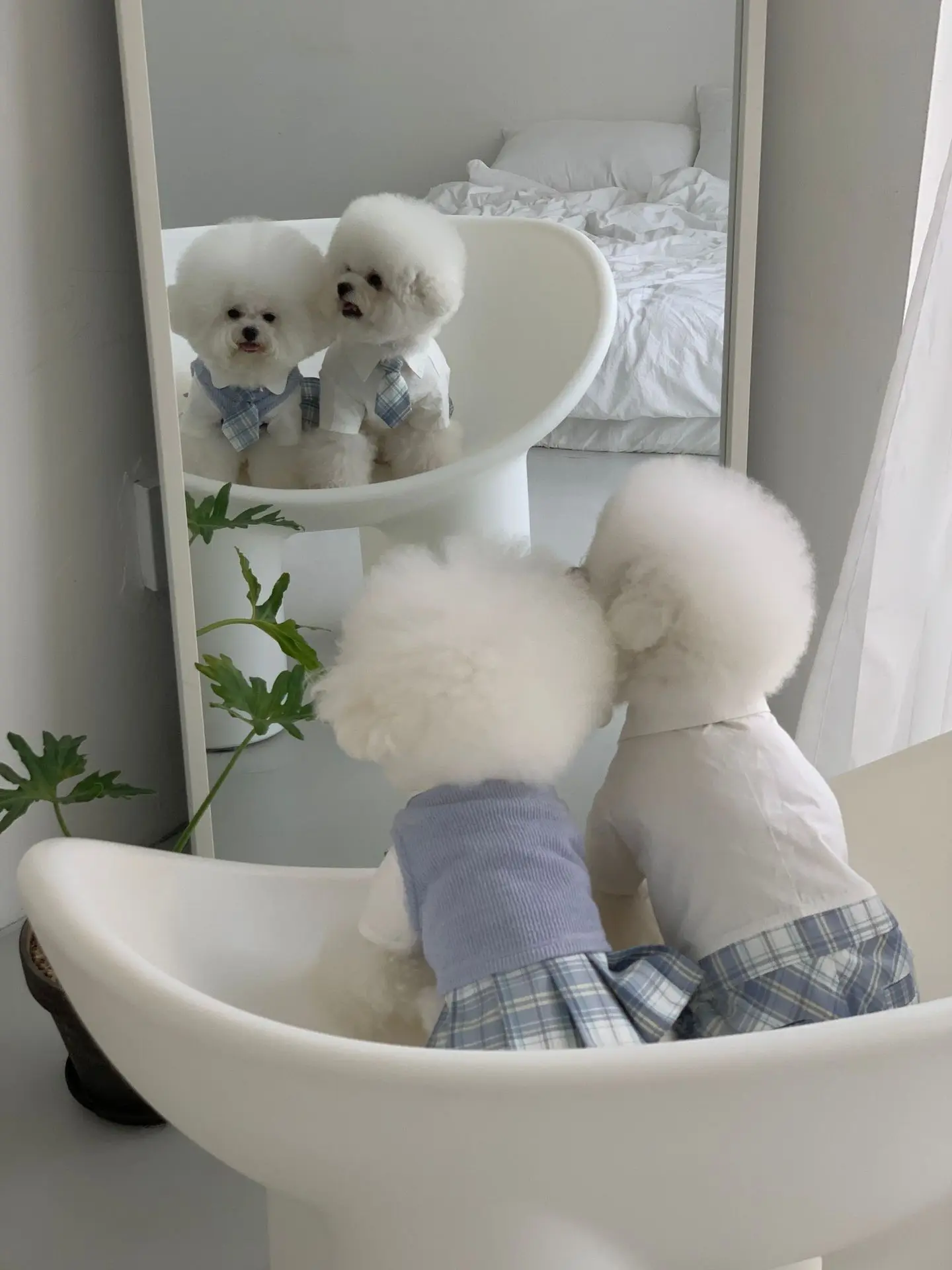 INS New Campus Pet Uniform Jk Suit Dog Jumpsuit Maltese Dog Bichon Pomeranian Plaid Pants Kawaii Clothes Dog Clothes Designer