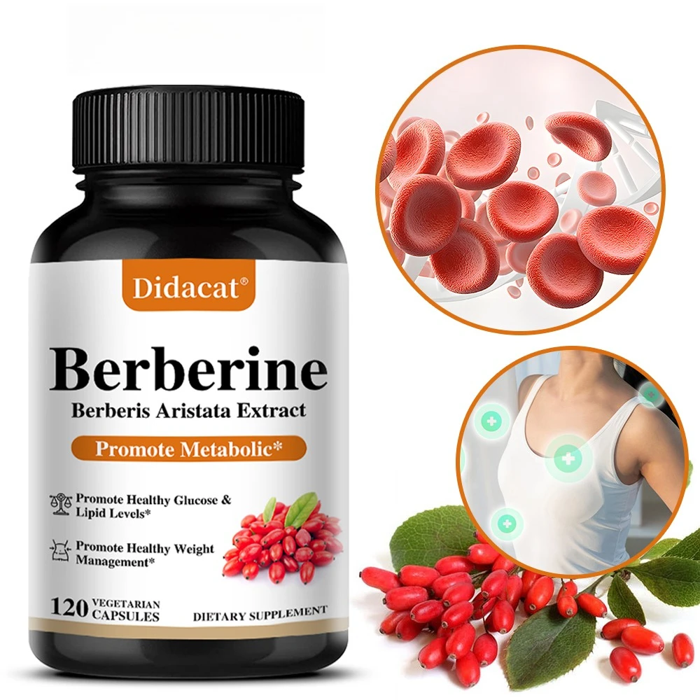 

Berberine 500 Mg Dietary Supplement - Supports Immune System, Metabolism, Healthy Weight Management, 120 Vegetarian Capsules