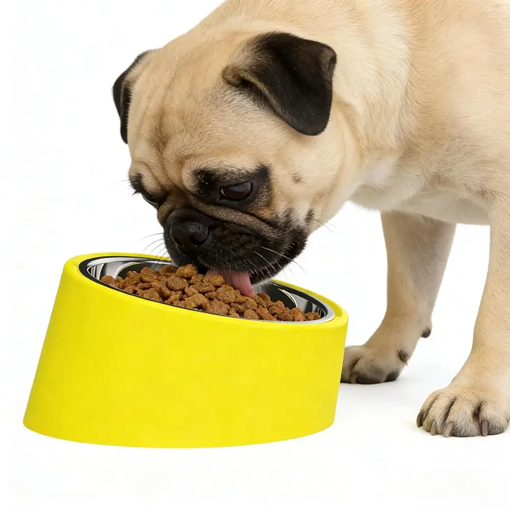 

Миска для французского бульдога (15) ° Наклонная миска-непроливайка для медленного кормления собак с плоским черепом, с утяжеленным основанием против скольжения, большая, 750 мл