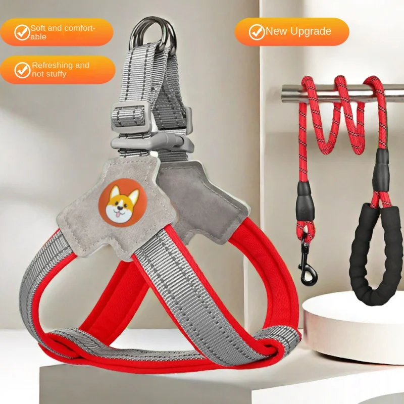 Dog Hand holding Rope-Style Pet Harness Breathable Reflective Chest and Back Leash