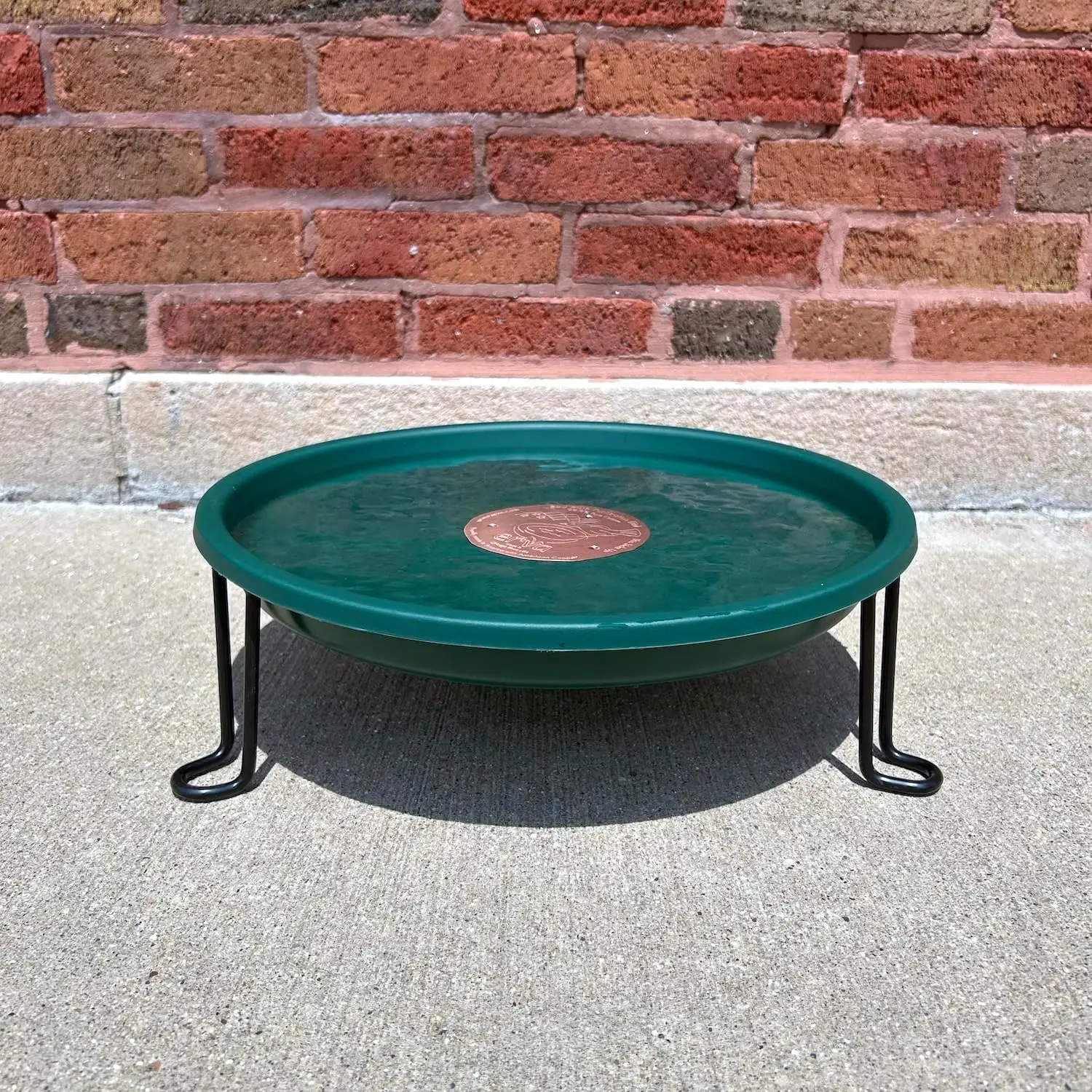 حمام الطيور على المستوى الأرض للفناء أو الحديقة أو سطح السفينة - سلك فولاذي أسود مع طبق أخضر - صنع في الولايات المتحدة الأمريكية