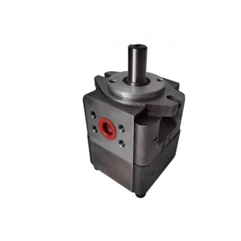 Nova bomba de engrenagem original NT5-D125F NT5-D100F NT5-D80F NB5-C160F NB5-C200F NB5-C250F