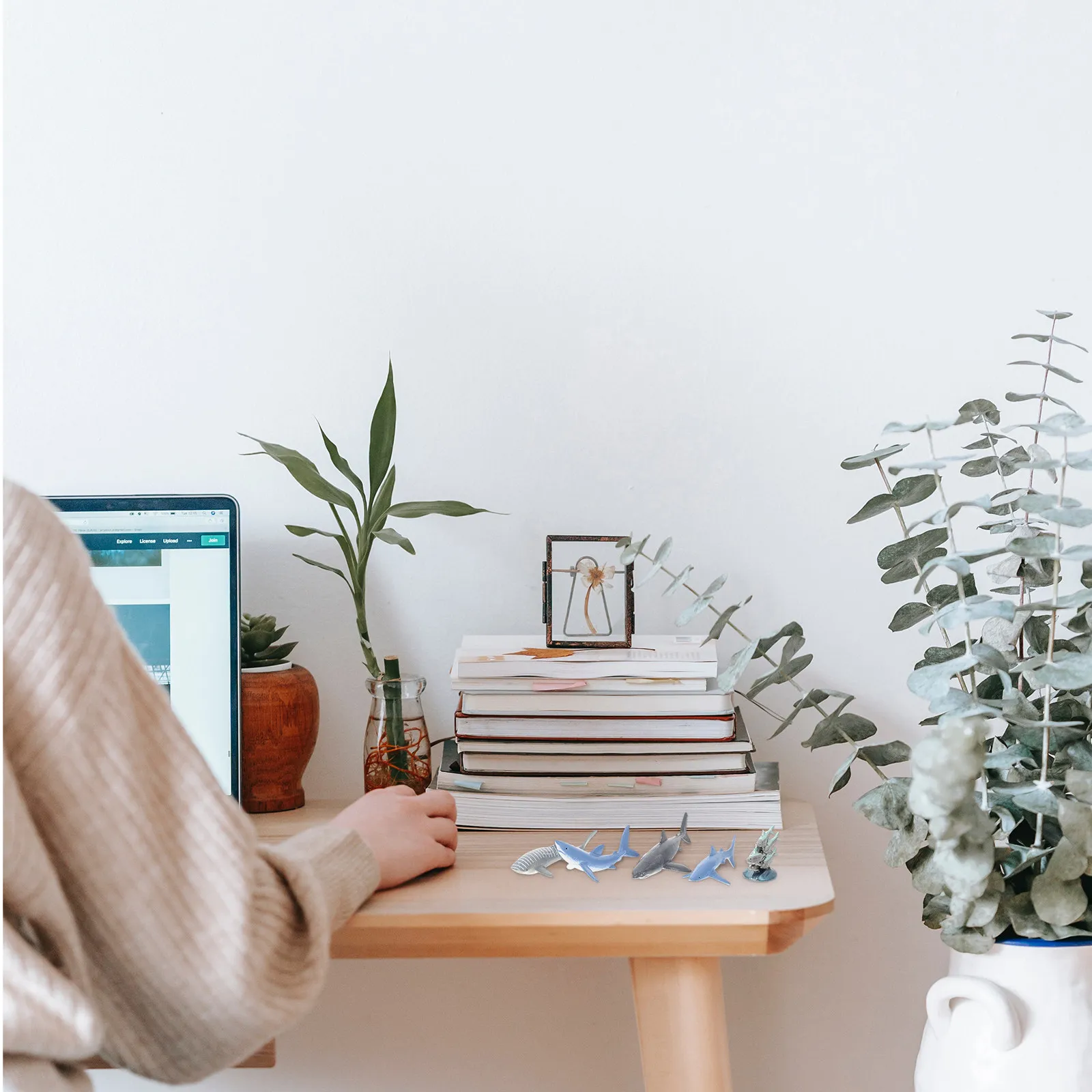 

10Pcs High-Quality Plastic Marine Animal Models Set Lifelike Ocean Creatures for Home Office Decor Sand Table Display Kids