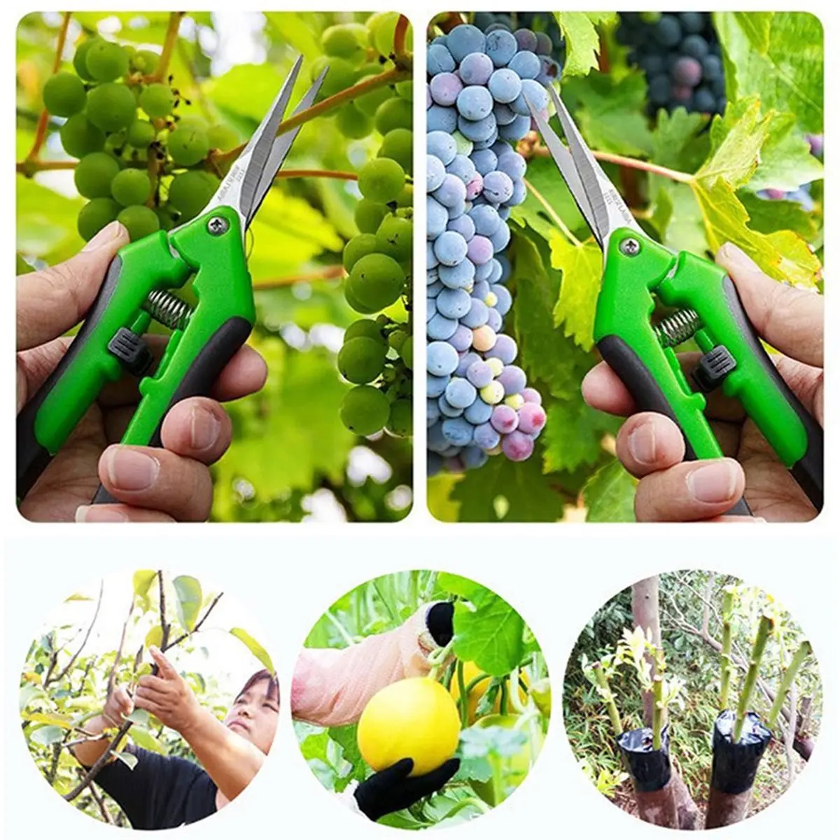 A45I Gardening Hands Tools Pruner Pruning Shears Trimming Grapes Scissors with Straight Elbow Stainless Steel Blade for Plant