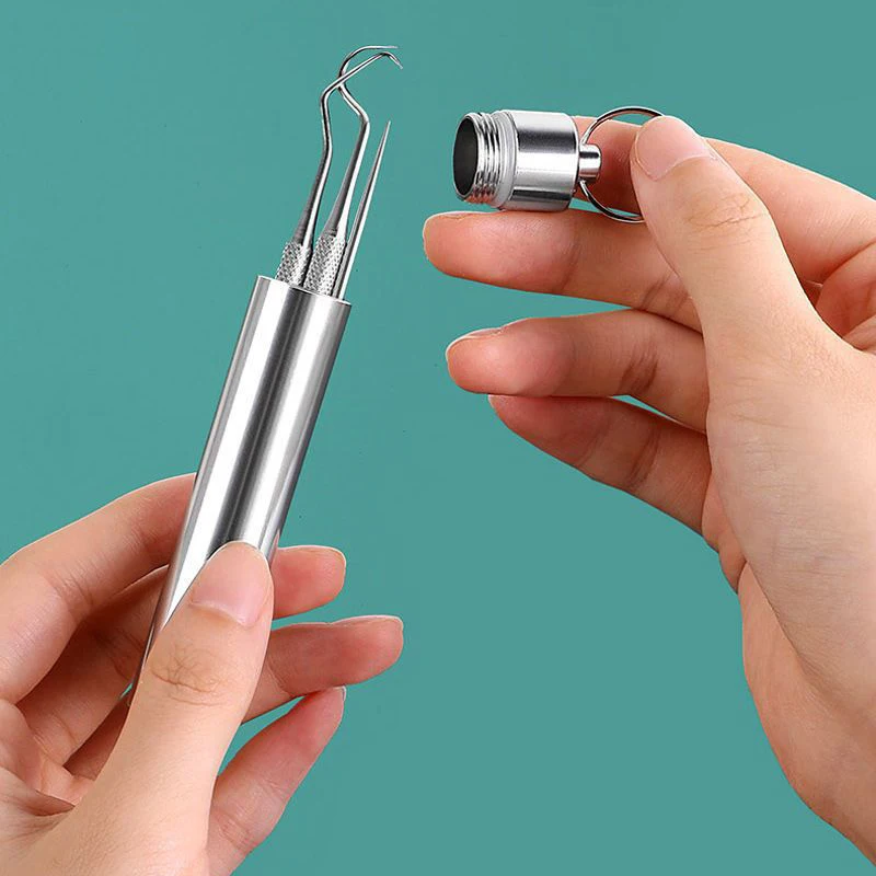 Stainless Steel Toothpick Set Portable Toothpick Floss Tartar Removal Tool Reusable Teeth Cleaning Kit for Oral Cleaning
