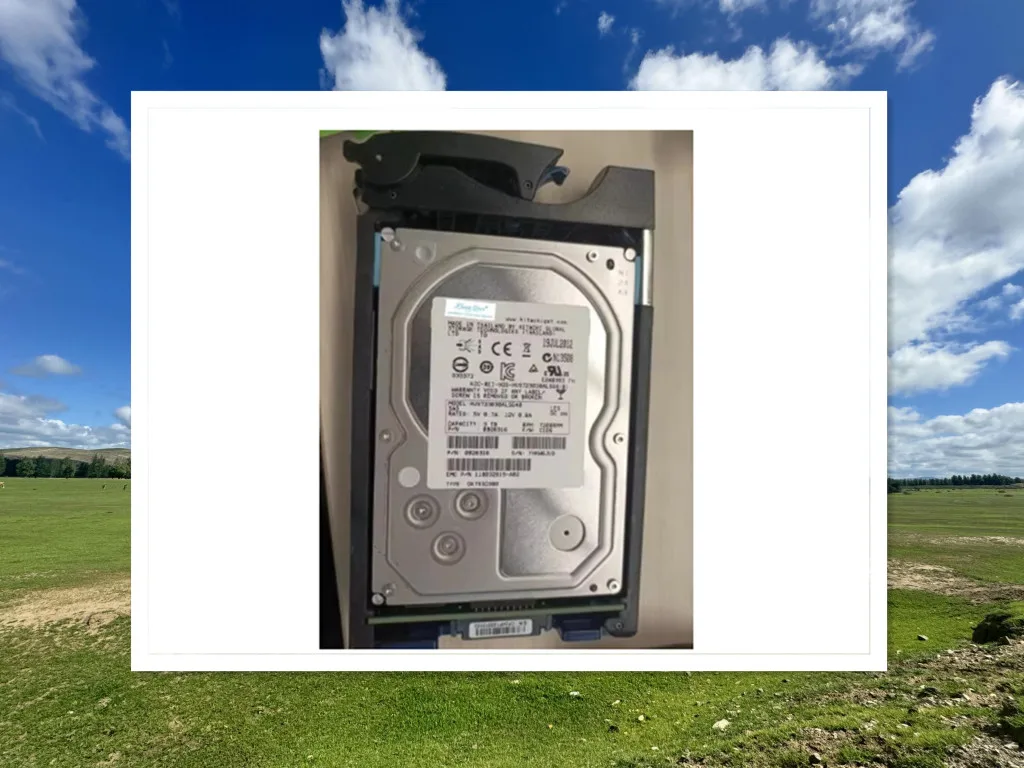 

Для 005049453 118032815 V3-VS07-030 3TB7.2K 3.5SAS