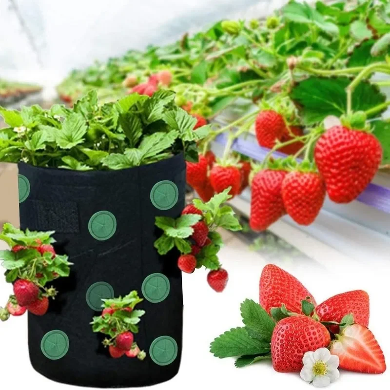 

Garden Seedling Bag Strawberry Grow Bag Hanging Breathable Durable Reusable Planting Growing Bags