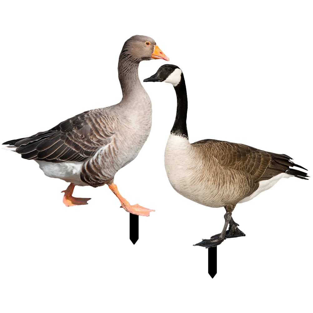 

Duck Decoration Card Insert Decorative Garden Stakes Yard Decorations Outdoor Lawn Landscaping