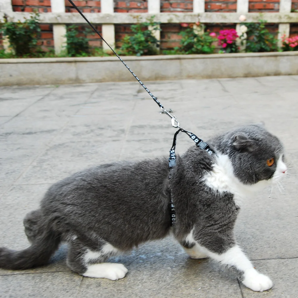 고양이 개 목걸이 하네스 목줄, 조절 가능한 나일론 애완 동물 견인 고양이 새끼 고양이 고삐 칼라 고양이 제품 반사 애완 동물 하네스 벨트