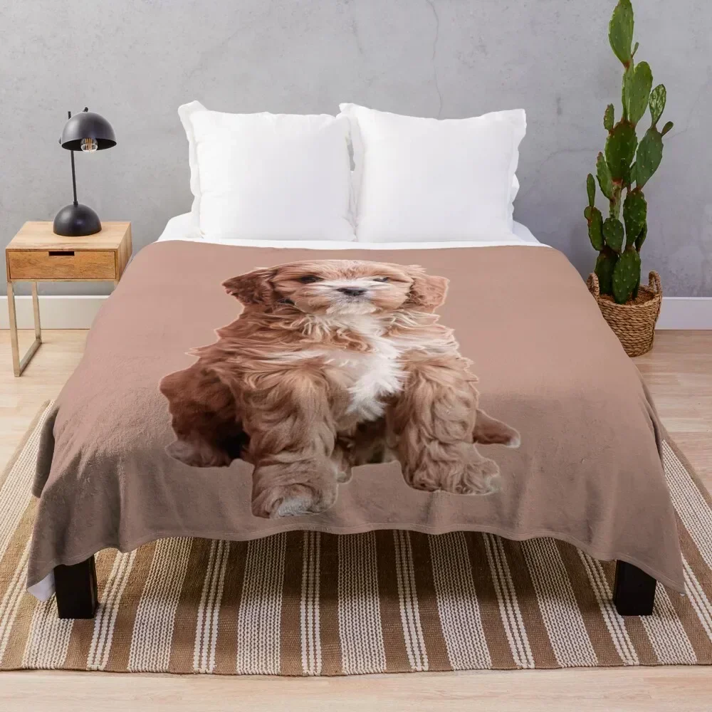 

Cavapoo Throw Blanket Loose Luxury Designer Blankets