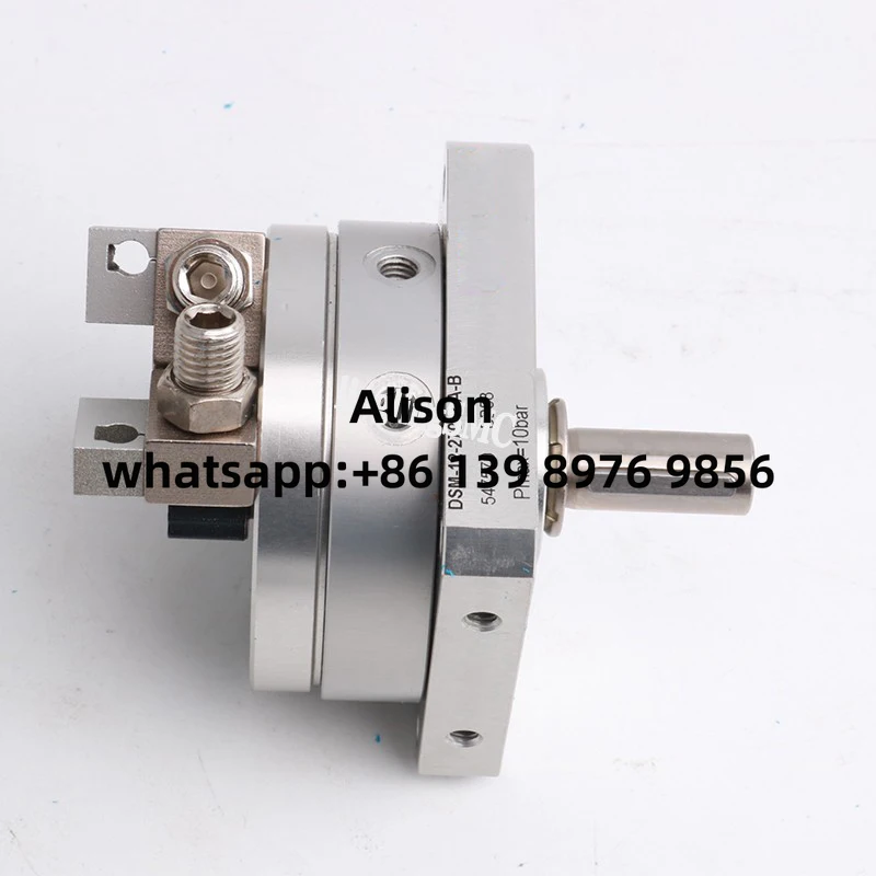Rotary Cylinder DSM-10-90-P-A-B DSM-10-180-P-A-B DSM-10-270-P-A-B DSM-12-90-P-A-B DSM-12-180-P-A-B DSM-12-270-P-A-B