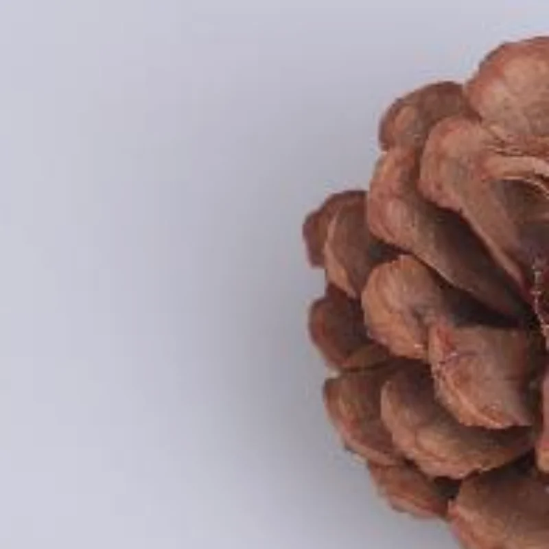 

Набор для отработки пайки BGA-чипов: учебный комплект с динамическими светодиодами для практического обучения, отдельные компоненты для пайки