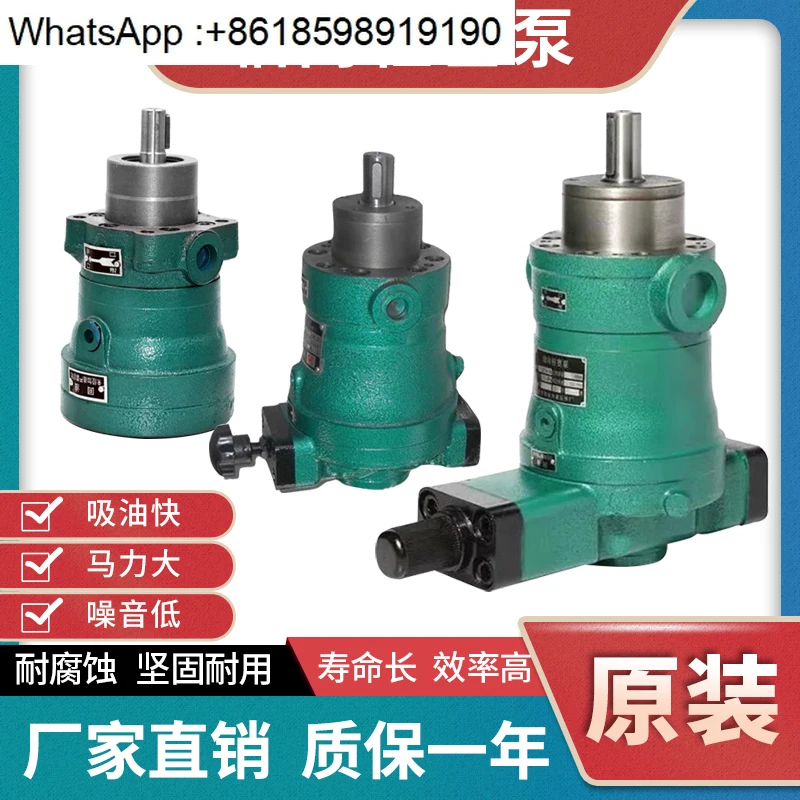 

Plunger pump 2.5/5/10/16/25/32/40/63/80/100MCY SCY YCY14-1B
