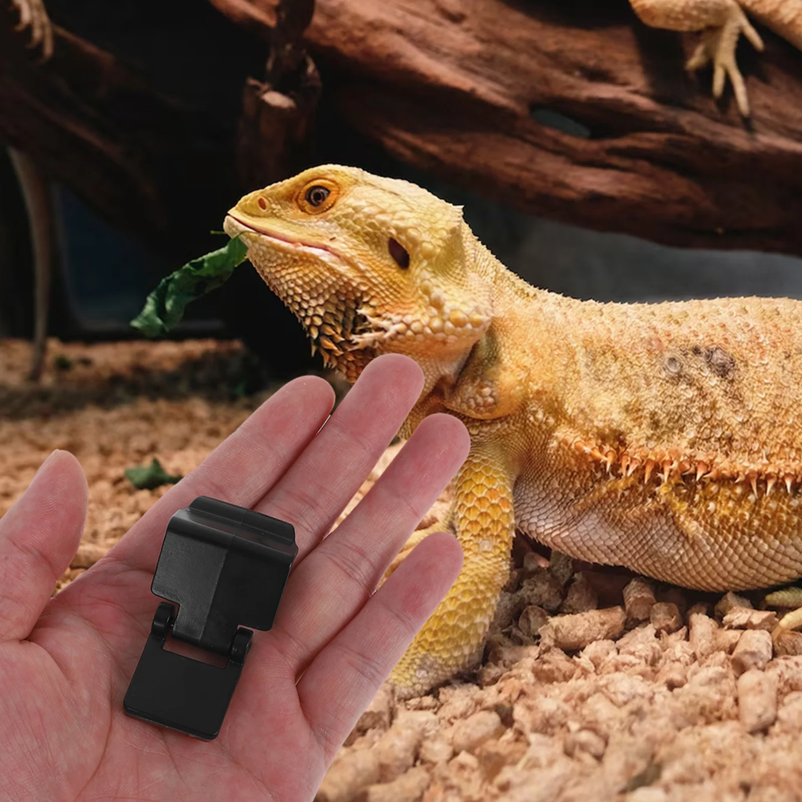 

6Pcs Turtle Tank Lock Clips Reptile Terrarium Lid Buckle Aquarium Anti Escape Lid Lock Clips Secure Reptile Take Locks