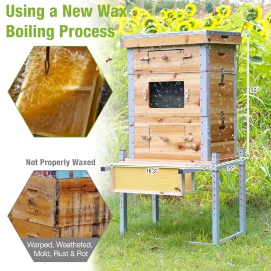 خلية نحل لانجستروث مكونة من 10 إطارات مع إطار معدني وحامل مغموس في 100 شمع عسل للزراعة المنفوخة وإنتاج العسل تتضمن Wo