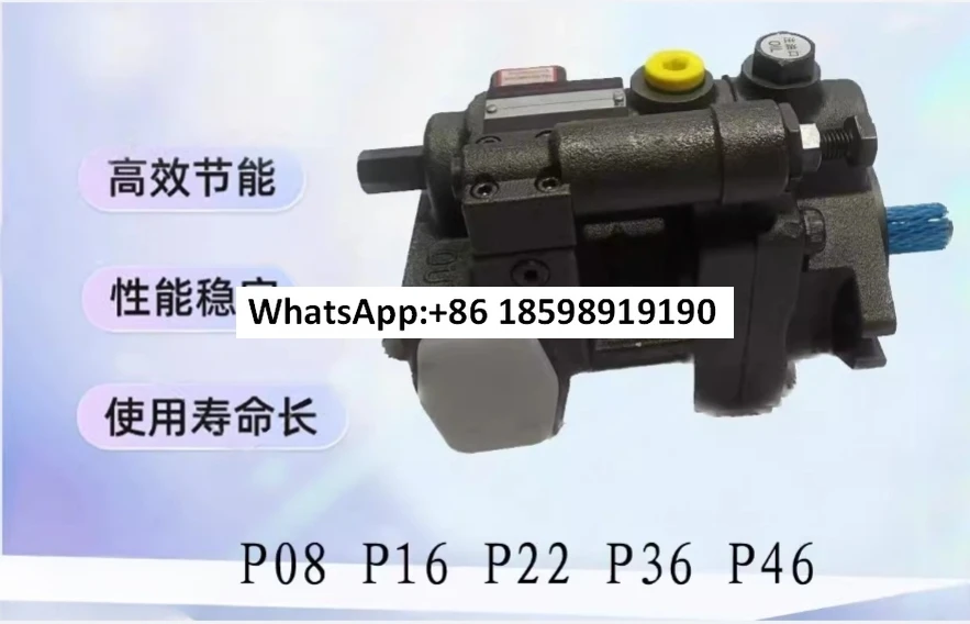 Kolben-Hydraulikölpumpe P08 16 22 36 46 70 100 A1 2 3 F R01