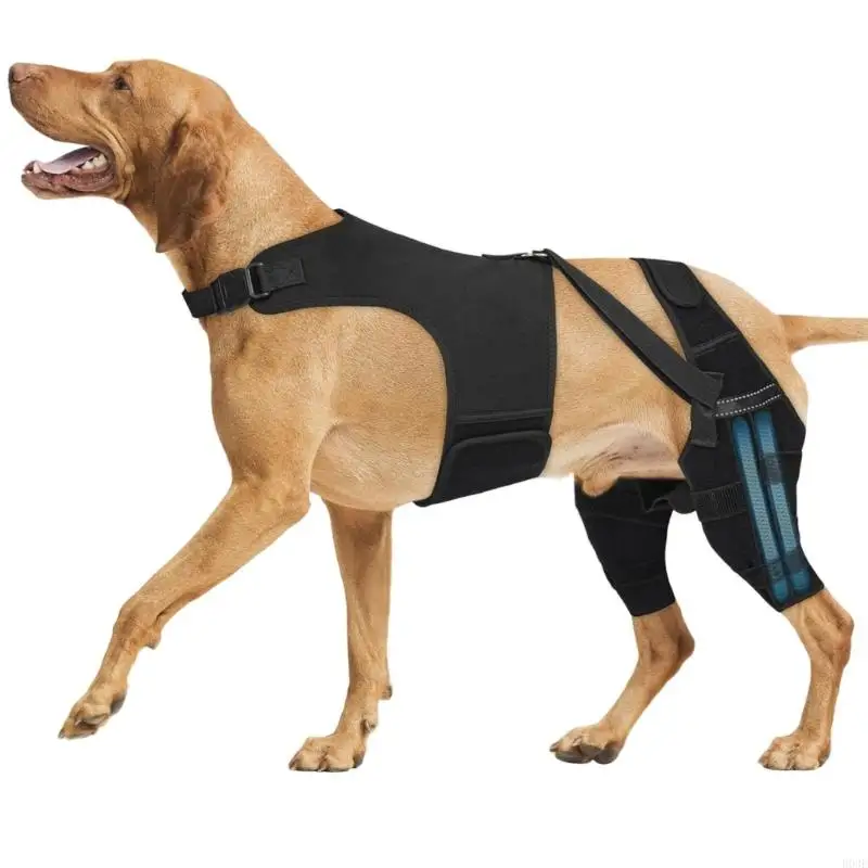 Hunde-Hinterbeinstütze für Tränen- und Hüftdysplasie mit verstellbarem Riemen und Stabilisatoren, Beinstütze B03E – Detail 1