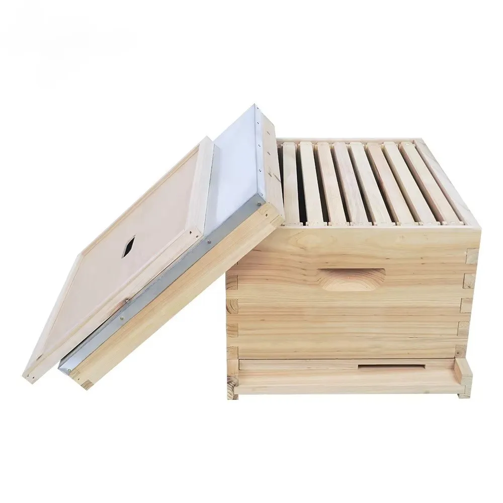 

10 Frame Langstroth Starter Beehive Kit, Complete Beekeeping Set with Frames & Foundation Sheets