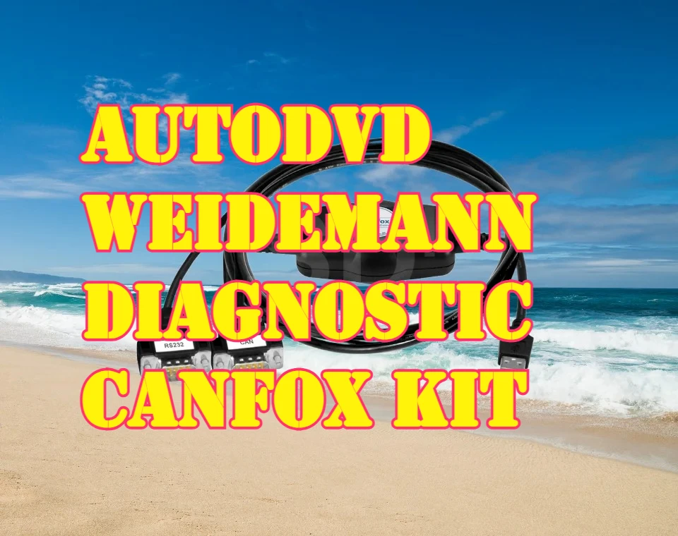 

ДИАГНОСТНЫЙ КОМПЛЕКТ НОФКС AutoDVD WEIDEMANN