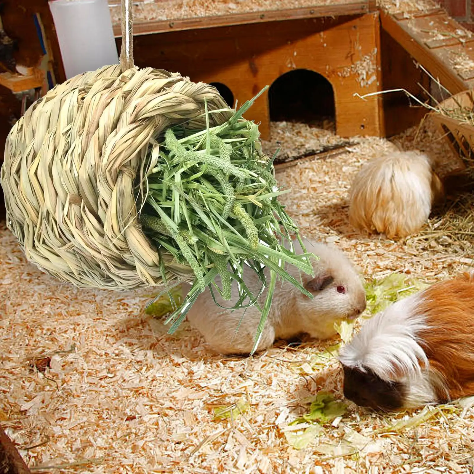 Rabbit Grass House … - image