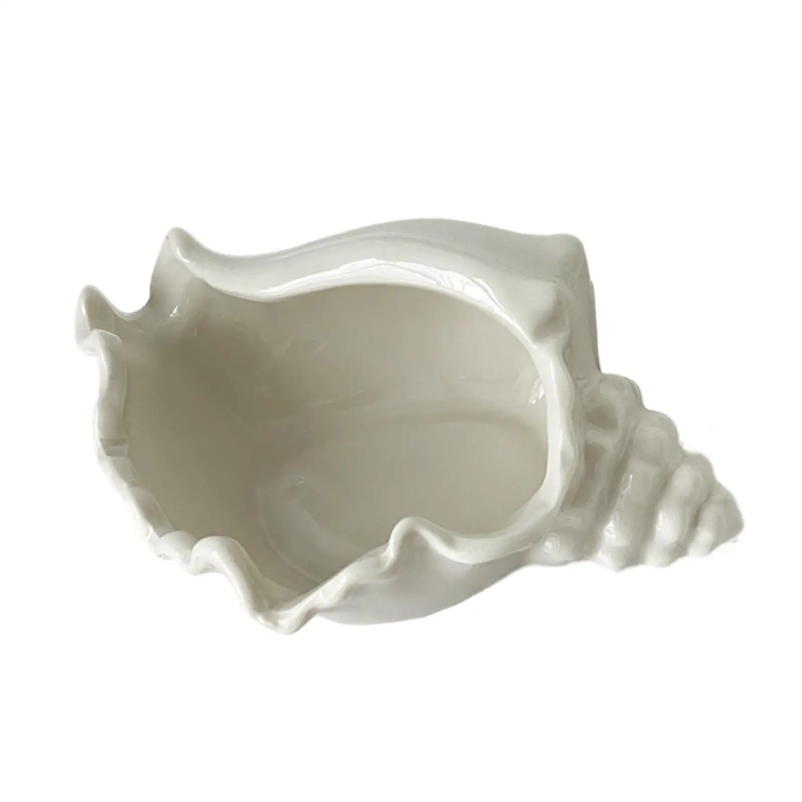 Conch Jewelry Dish Decorative Jewelry Plate Holder for Watch Rings Bedside