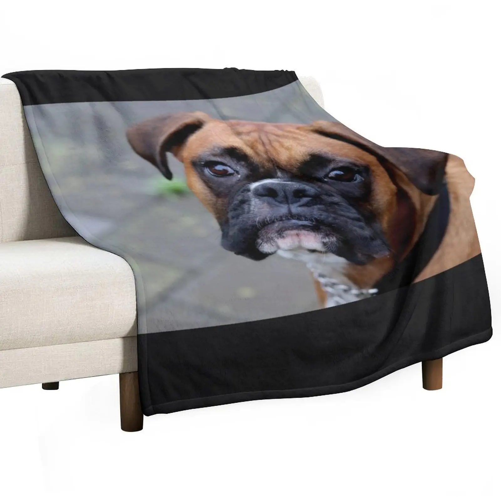 

A Message From Dino - Keep Safe - Boxer Dogs Series Throw Blanket Comforter Plaid on the sofa anime Blankets