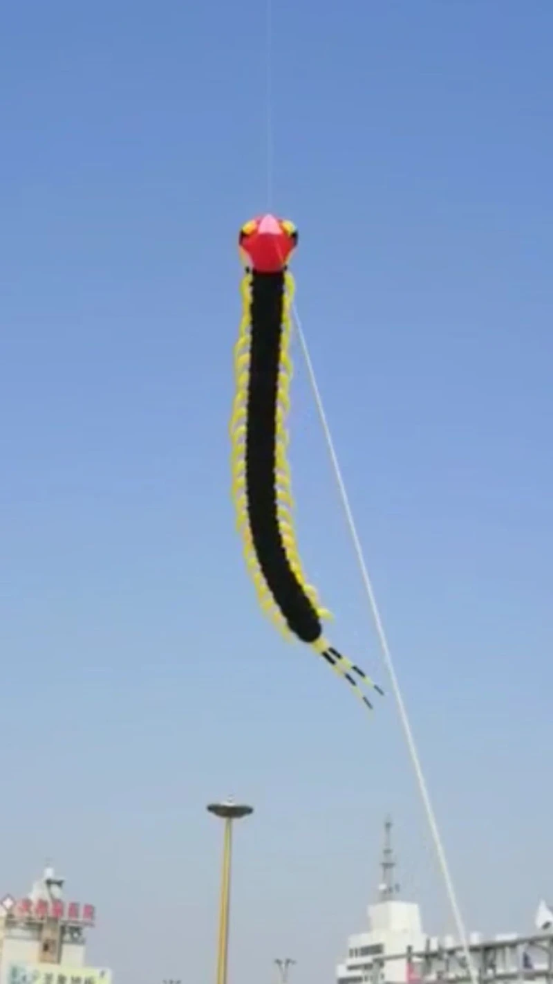 free shipping 12m centipede kite flying soft kite inflatable games professional wind kites snake gel blaster outdoor toys sports