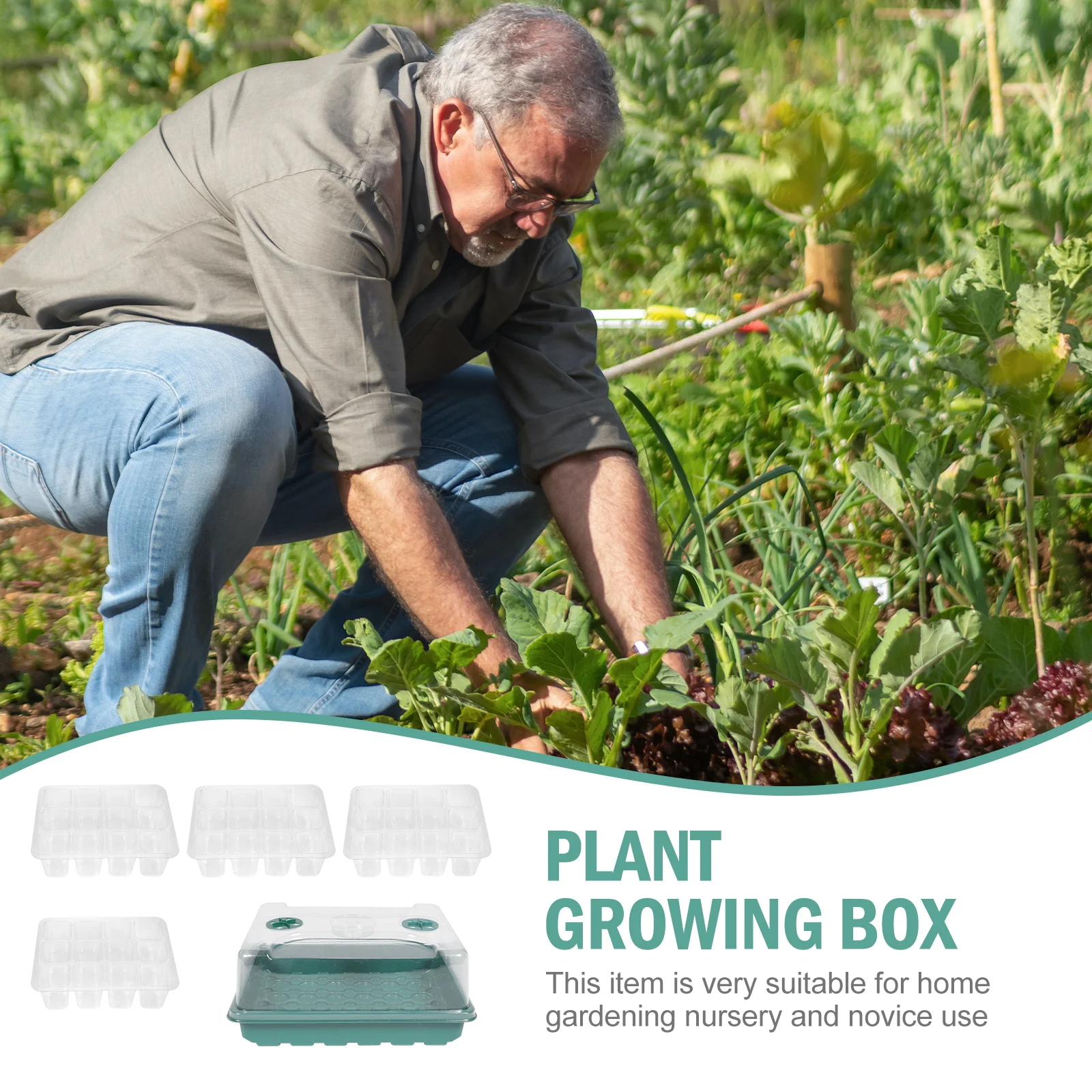 Zestaw do kiełkowania roślin, taca do sadzenia nasion z 12 otworami do warzyw, kwiatów i owoców, utrzymująca wilgoć i ciepło, szybka.