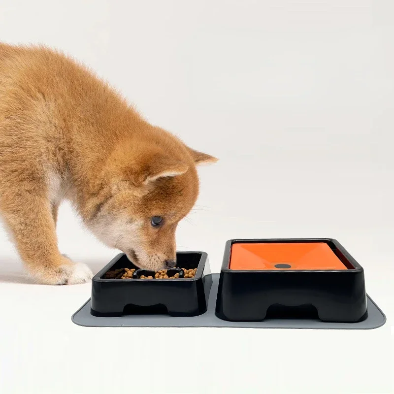 

Slow Feeder Dog Double Bowl with Silicone Mat Cat Pet Food Water Feeder Drinking Bowls Anti-Choking Non-Slip Basin Puppy Bowl