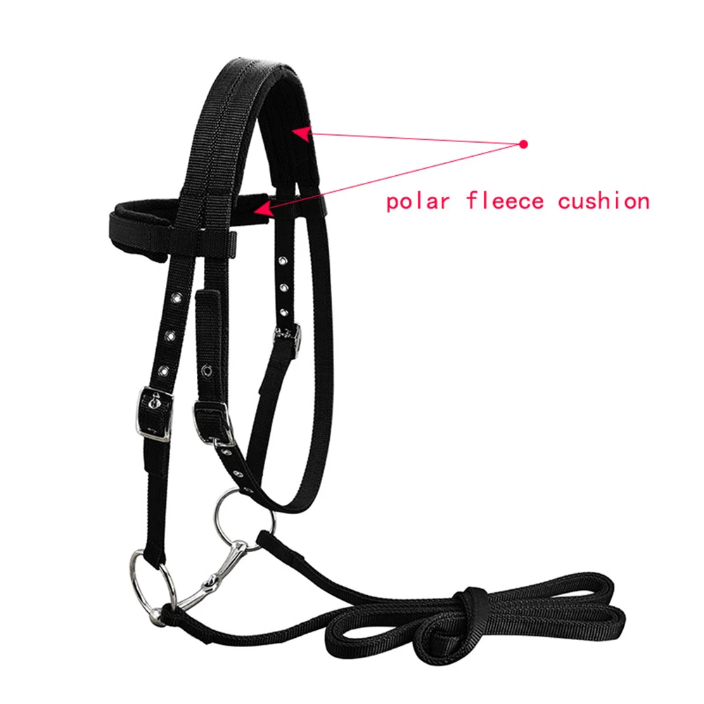 Brida de caballo duradera, cincha de PP de 20 Mm, equipo ecuestre Halter engrosado para entrenamiento de equitación al aire libre, LT5000
