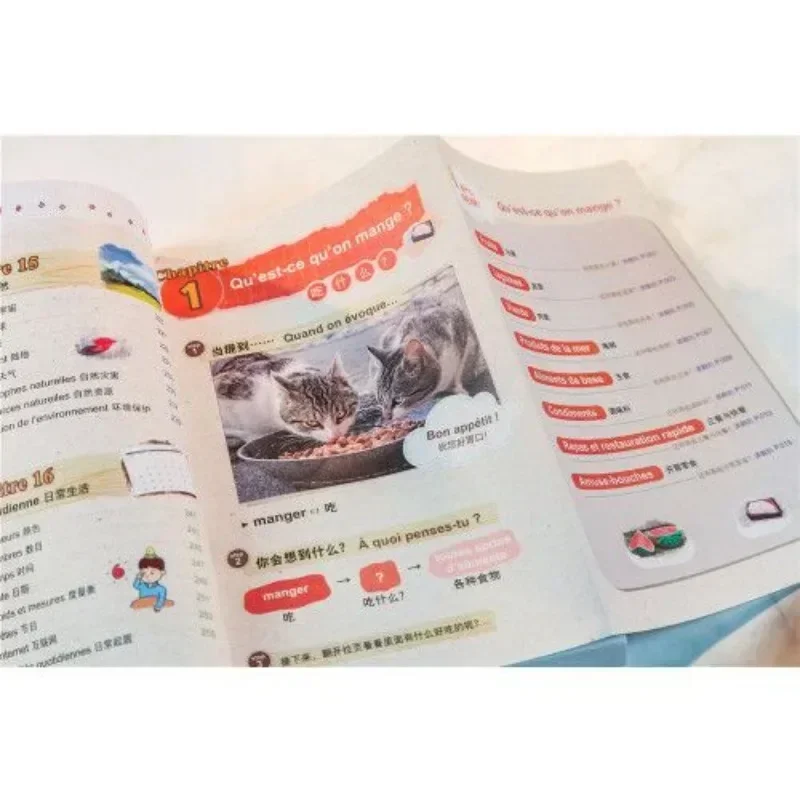 

Books ofSuper Easy To Use Spanish Word Book, Mind Map, Spanish Learning Book, Illustration for Easy Memory DIFUYA