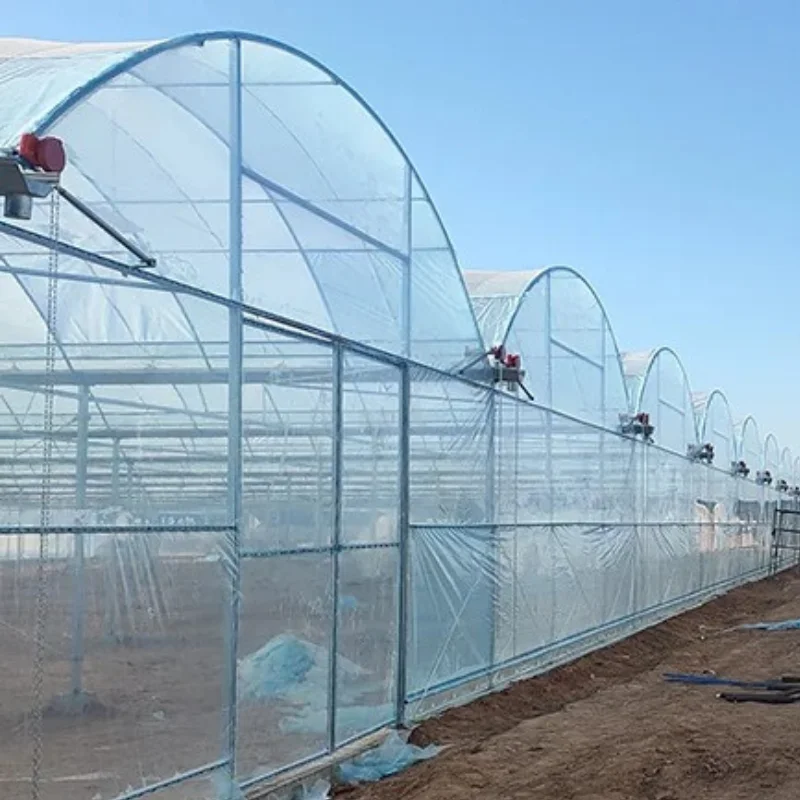 

Customized greenhouseHigh Cost-effectiveness Agriculture Greenhouse Frame Multispan Vegetables/Nursery Growing Tunnel Film Green