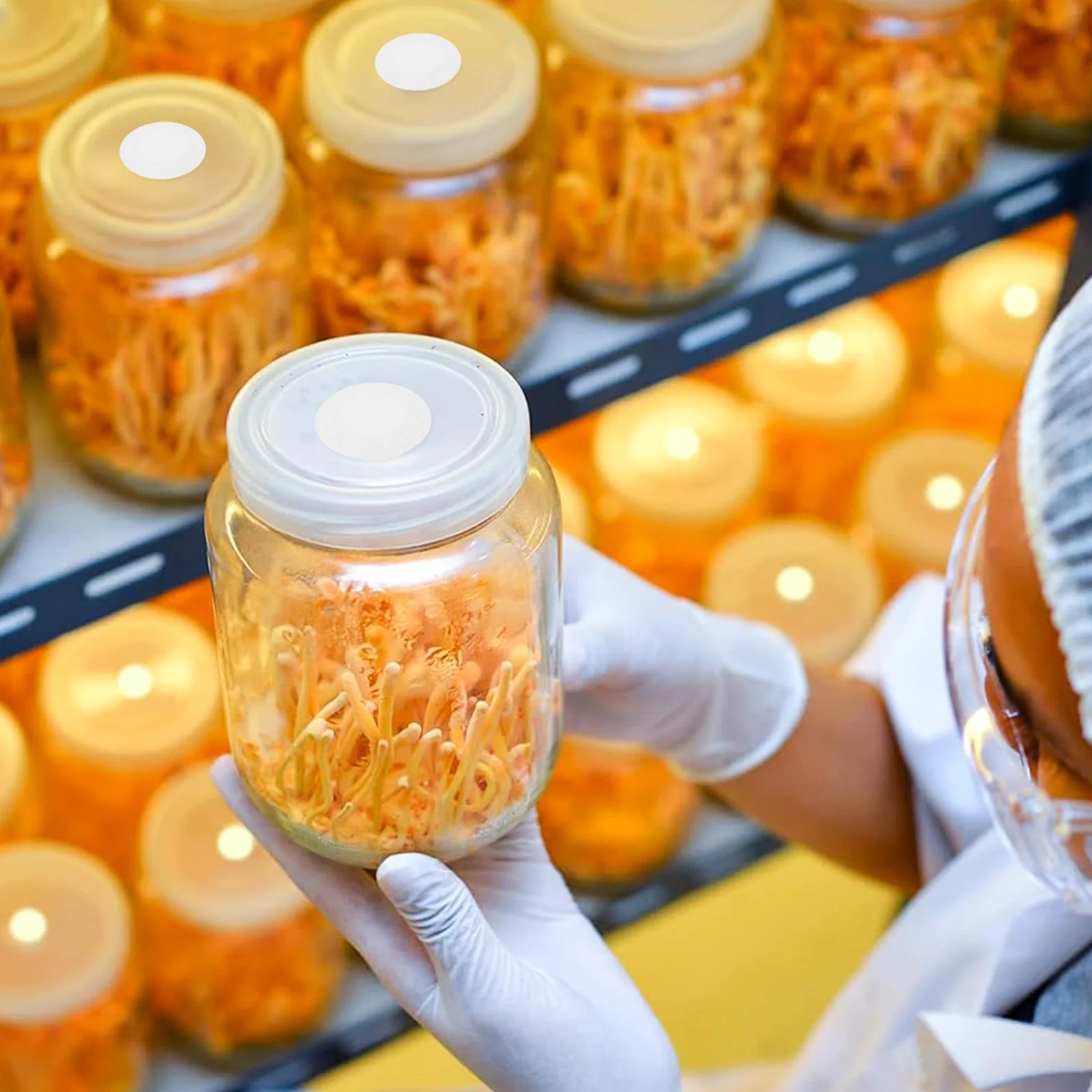 1 Arkusz Syntetycznego Papieru Filtracyjnego Samoprzylepny Dysk Filtracyjny do Mikologiaii i Hodowli