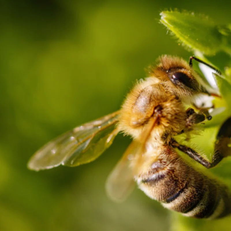 

Держатель для телефона, зажим для крепления кронштейна, поддержка передатчика Flysky FS-NB4, пульт дистанционного управления 1/8 1/10, детали радиоуправляемого автомобиля, лодки