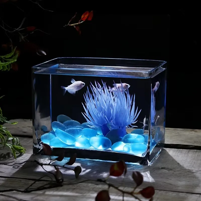 Rectangular Glass Fish Tank   a Desktop Home Decor Item   Miniature Landscape Aquarium  Hand-blown Glass Fish Tank