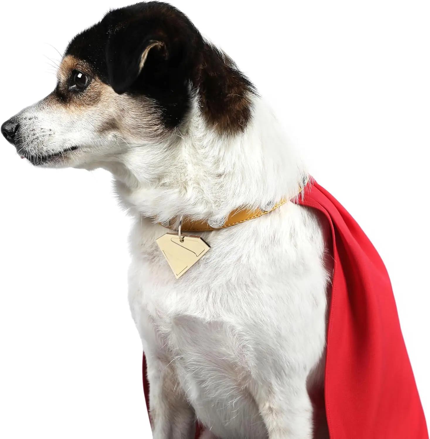 

DOG Cosplay Cloak Superdog Costume 3D Printed Dog Tag Full Set Pet Clothes Custom Made